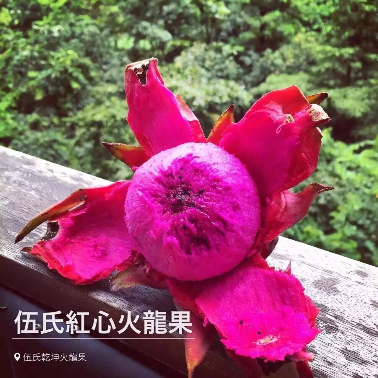 篮球奖励办法_篮球奖励是什么_篮球大小分奖励规则