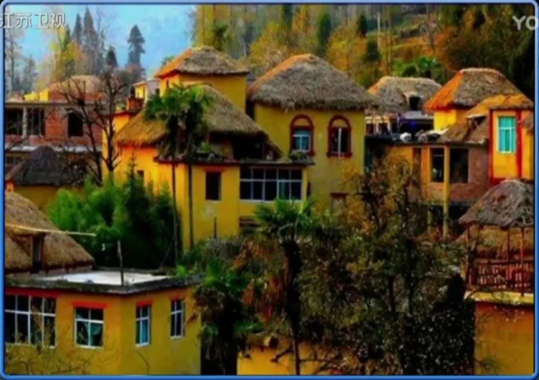 上海游泳男名将_上海游泳队帅哥_上海女特警曾是游泳冠军