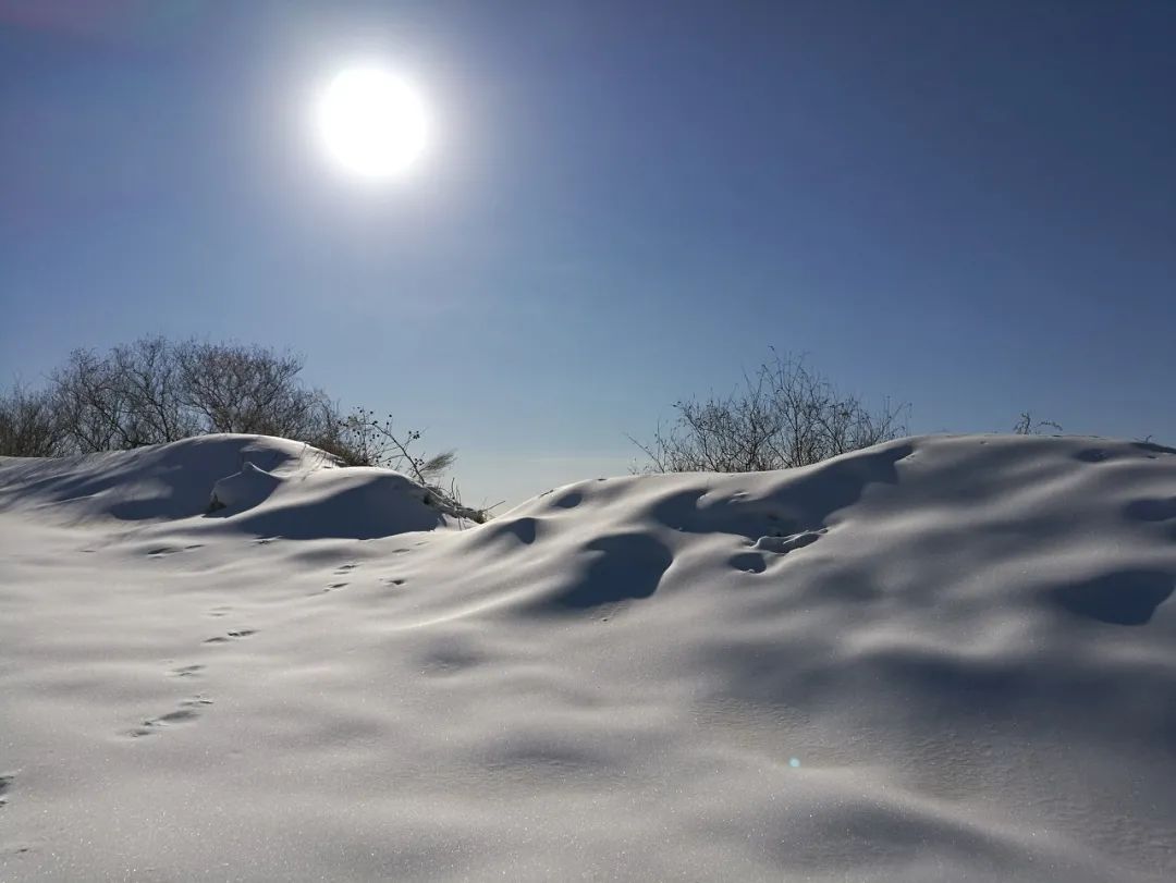 天津健身奥体中心地址_天津健身奥体中心电话_天津奥体健身