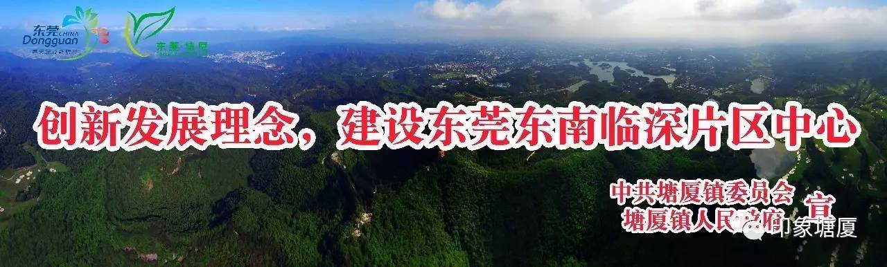 塘厦游泳冠军_深圳游泳冠军_游泳冠军塘厦是谁