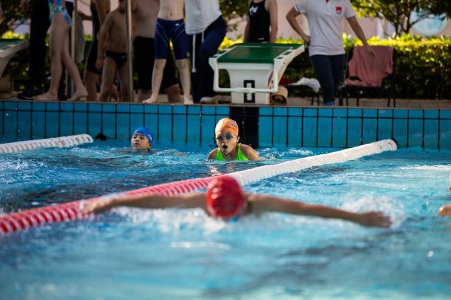 深圳游泳冠军_塘厦游泳冠军_东莞游泳世界冠军